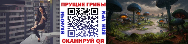 как найти Белогорск Псилоцибиновые грибы GOLDEN TEACHER