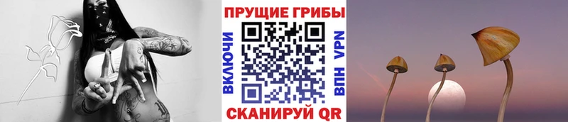 Галлюциногенные грибы прущие грибы Белогорск